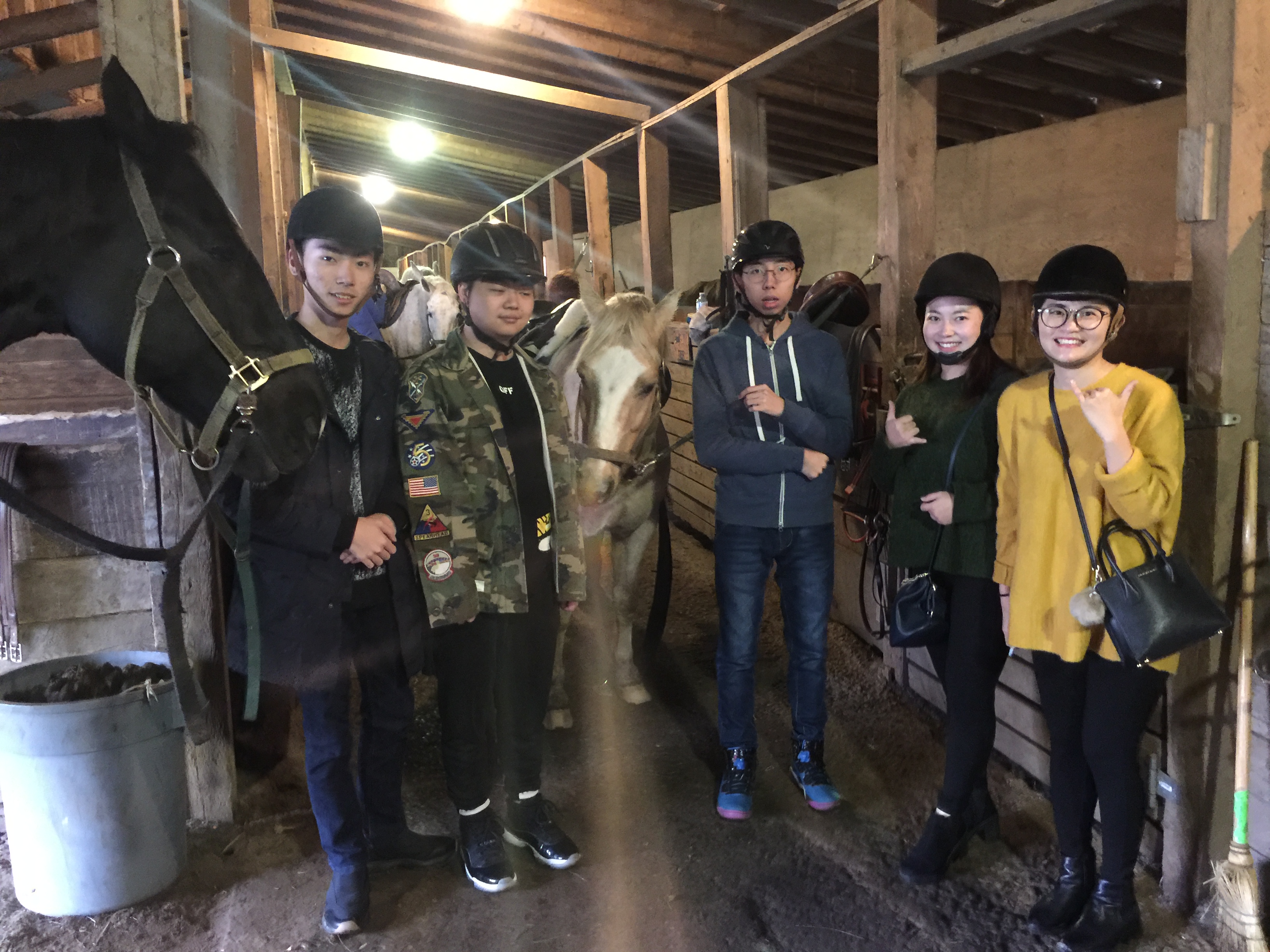 Horse Riding — photo 16